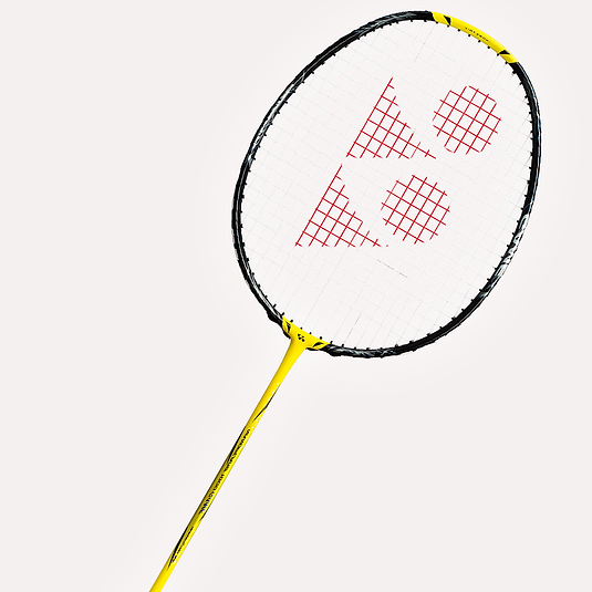 Master the Court Today